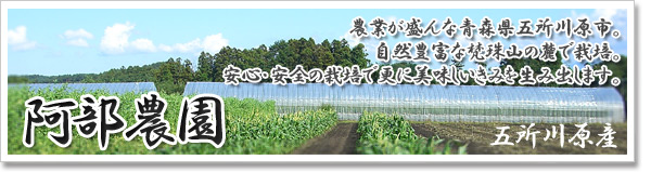 「阿部農園」五所川原産・安心、安全の栽培で更に美味しいきみを生み出します。