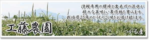 「工藤農園」つがる産・栽培暦30年のとうもろこし味をお届け致します。